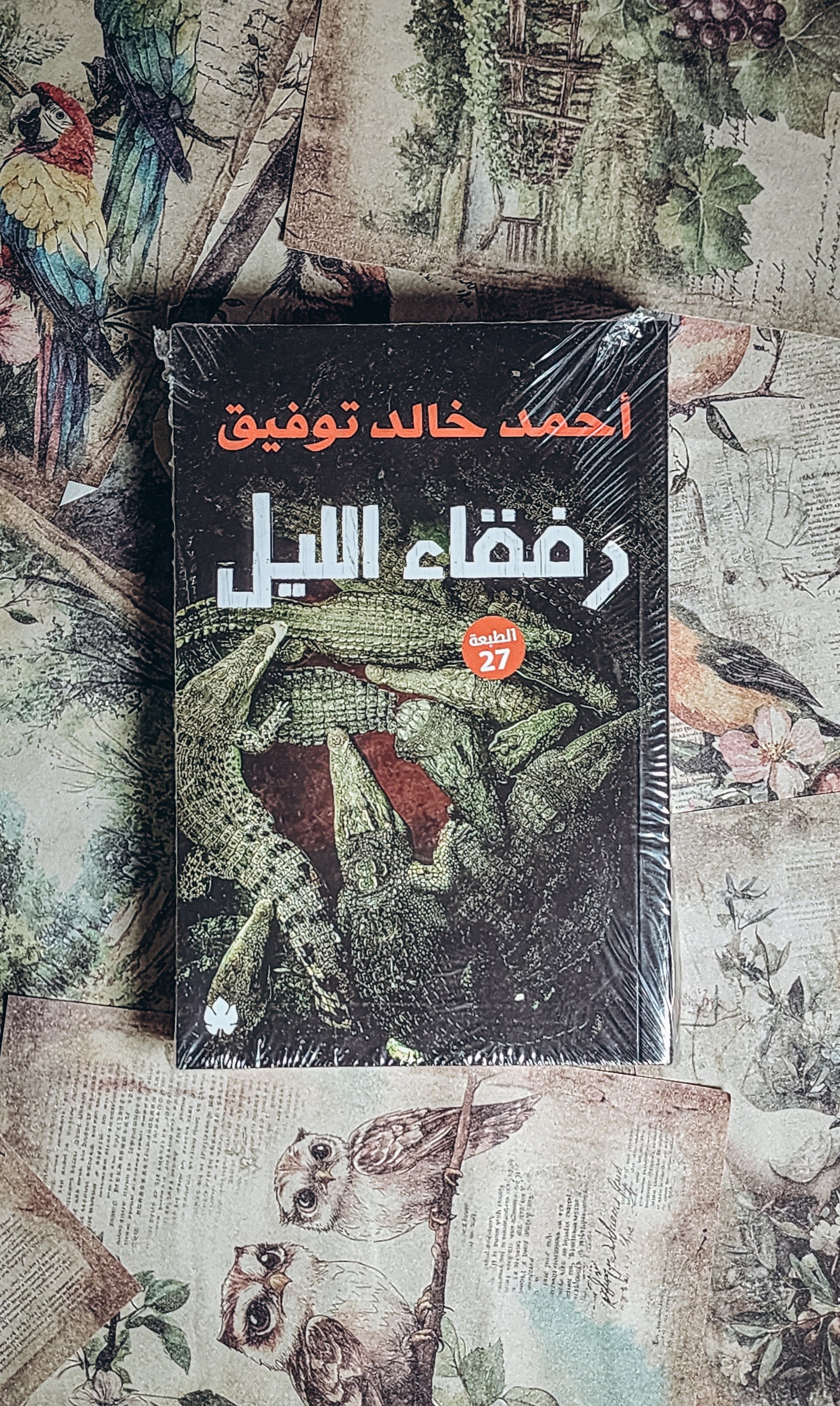 رفقاء الليل