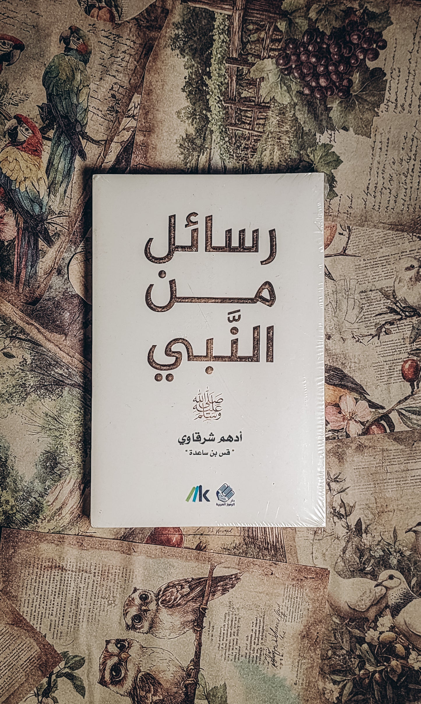 رسائل من النبي