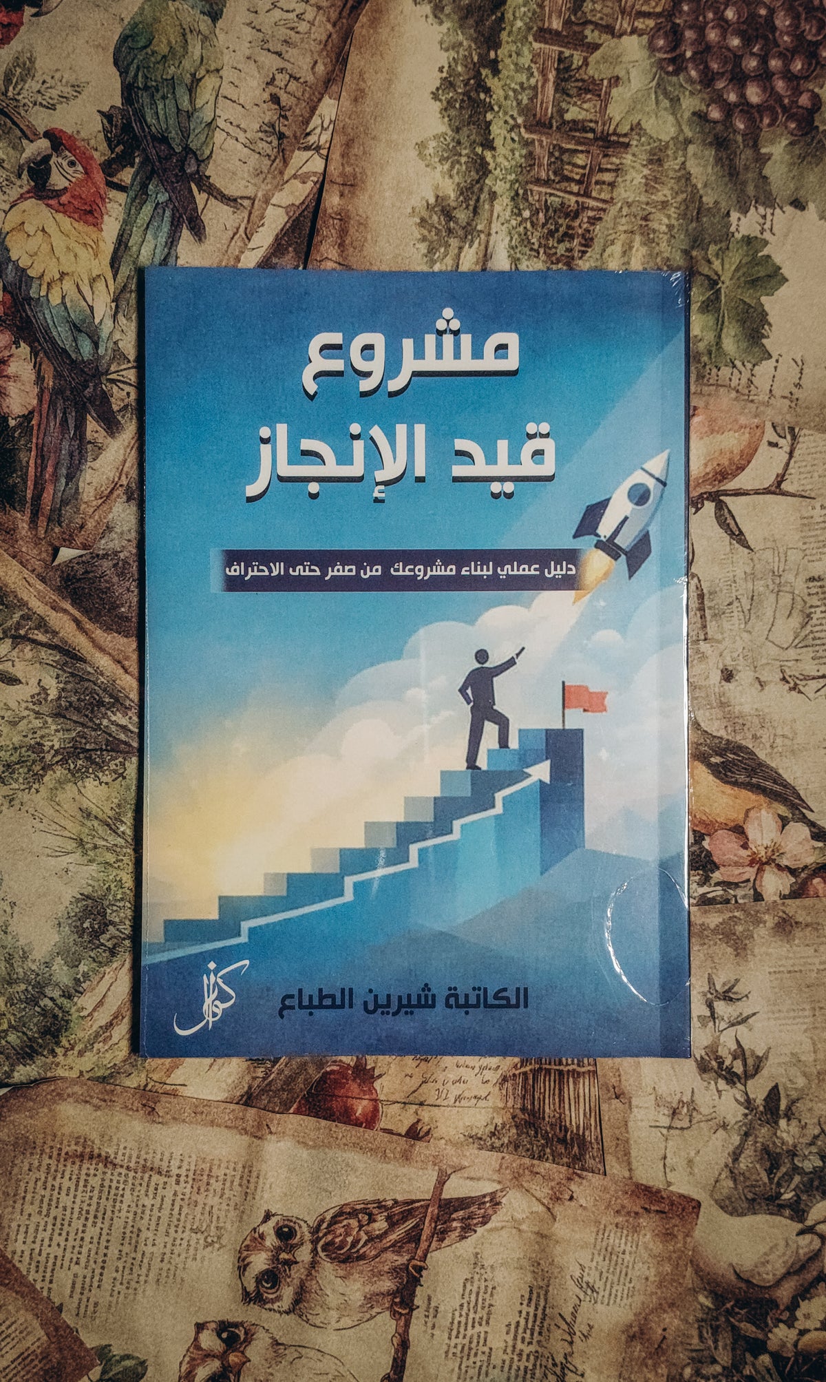مشروع قيد الانجاز