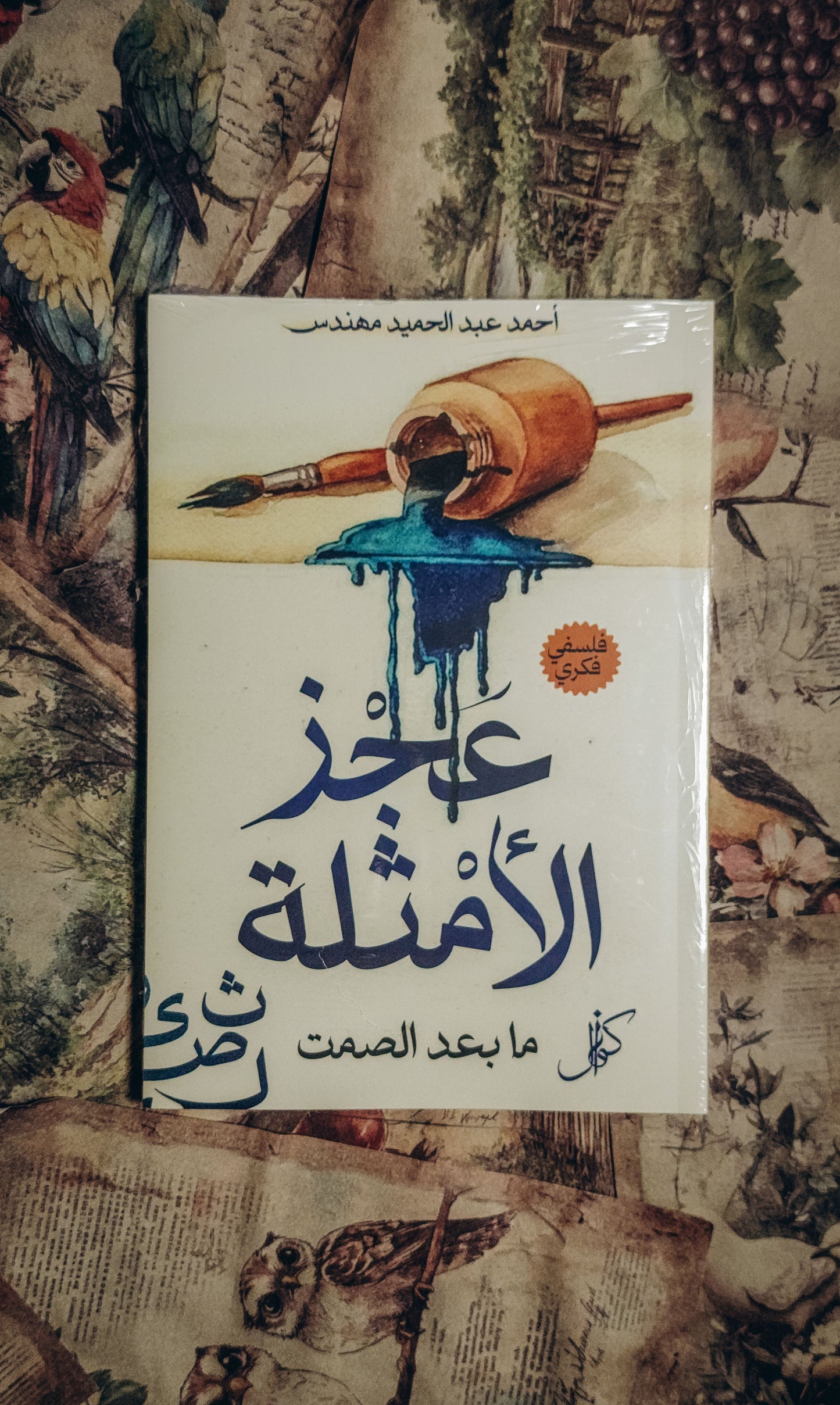 عجز الأمثلة