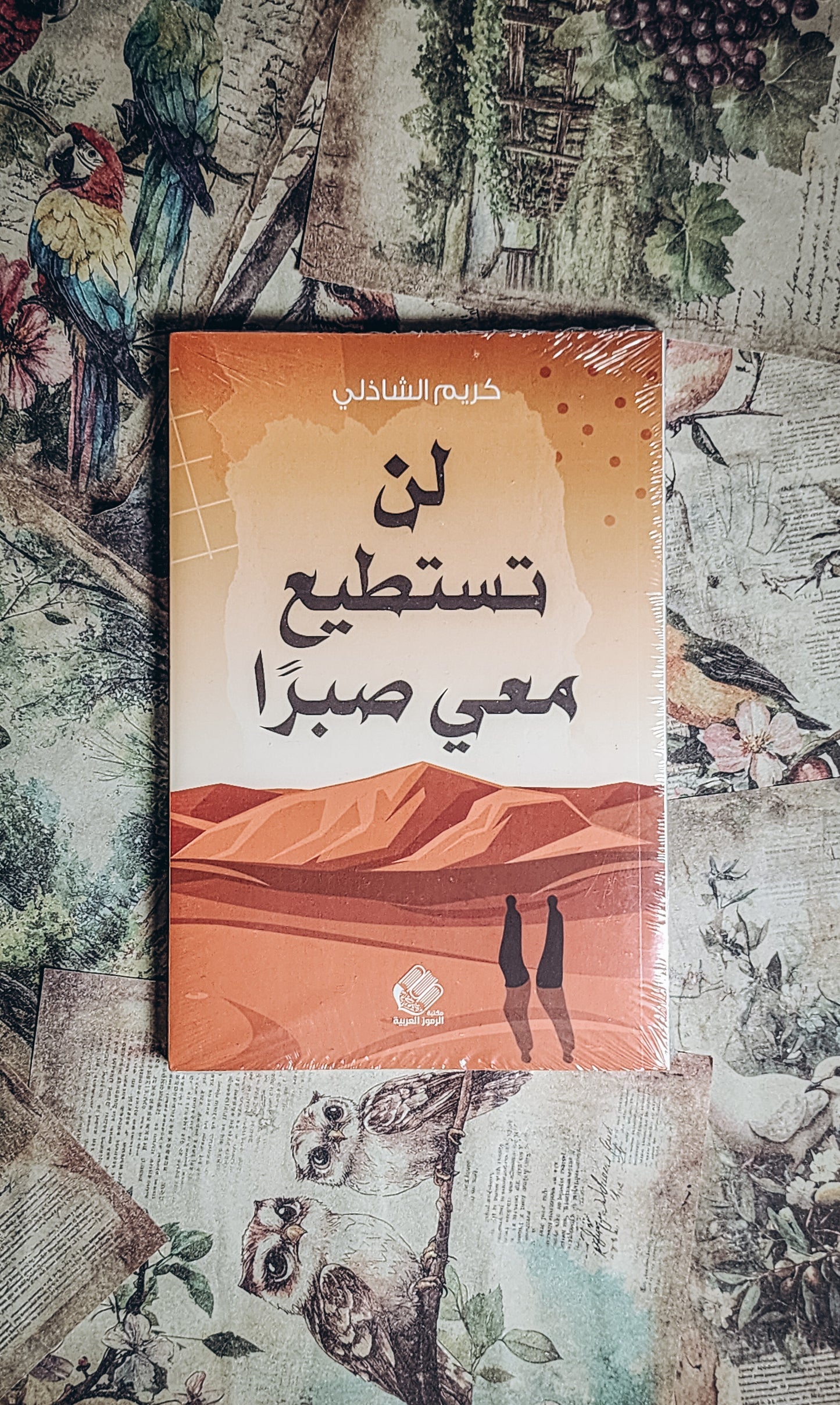 لن تستطيع معي صبراً