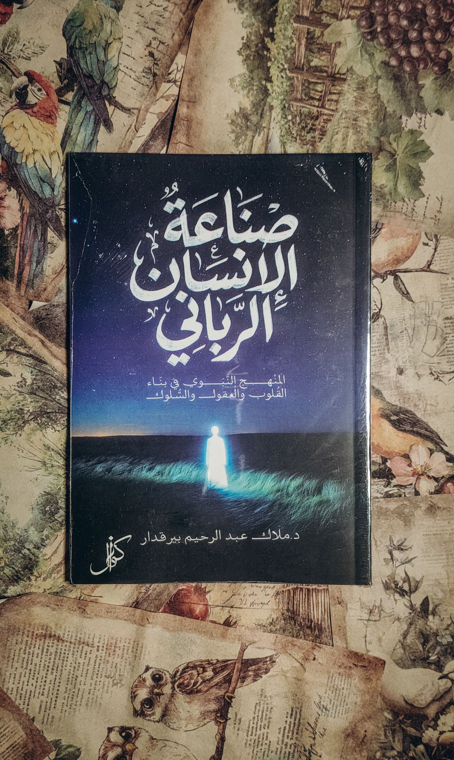 صناعة الانسان الرباني