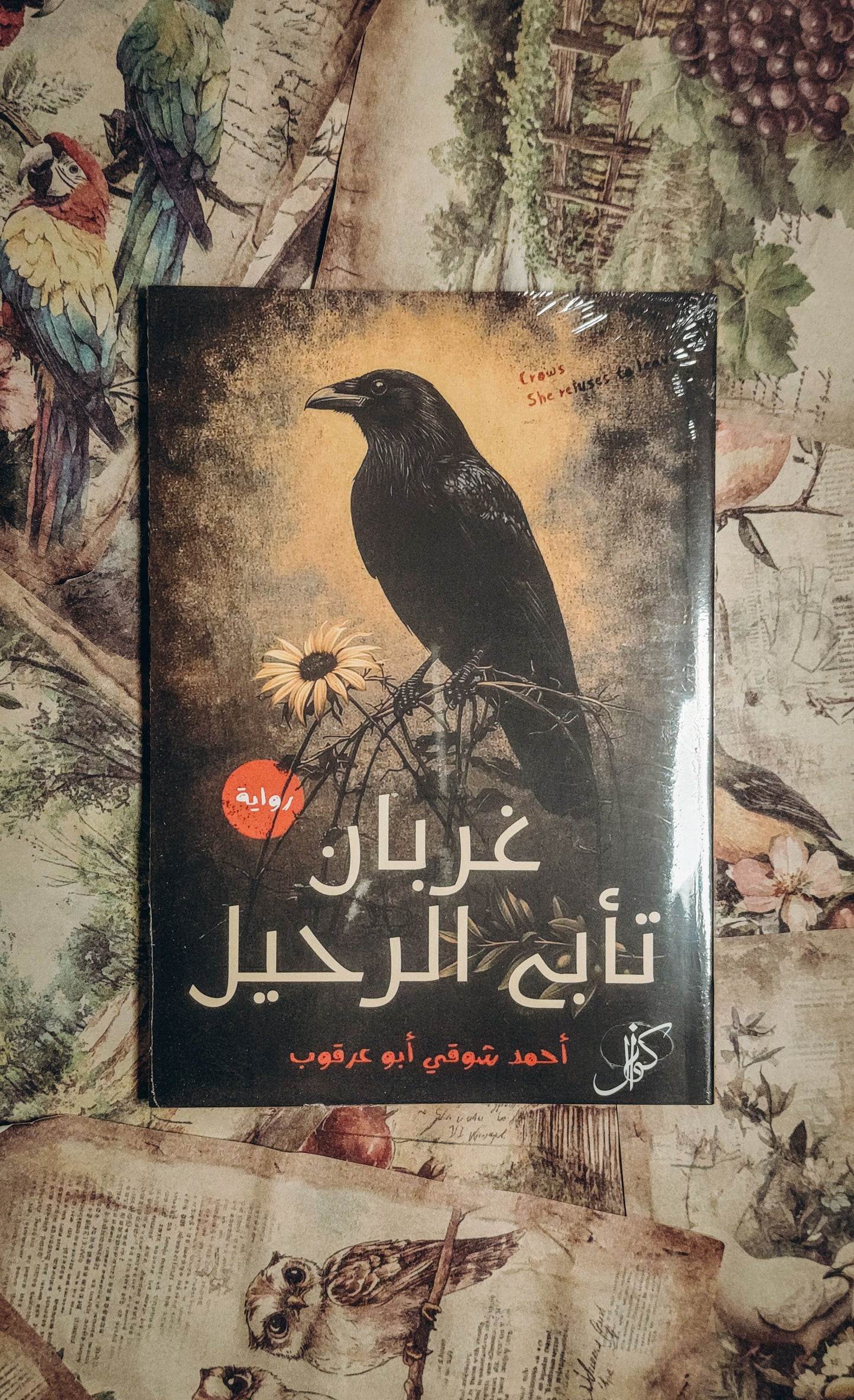 غربان تأبى الرحيل